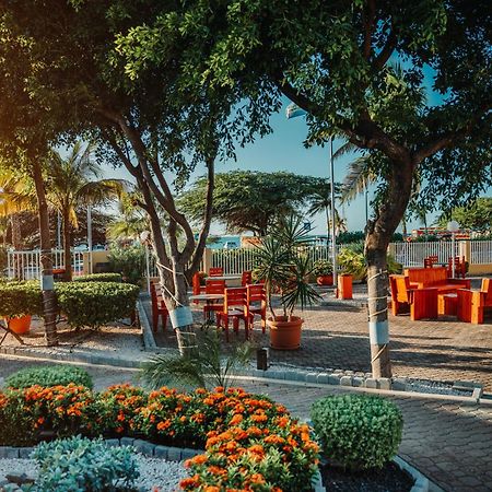Mvc Eagle Beach Palm Beach Exteriér fotografie