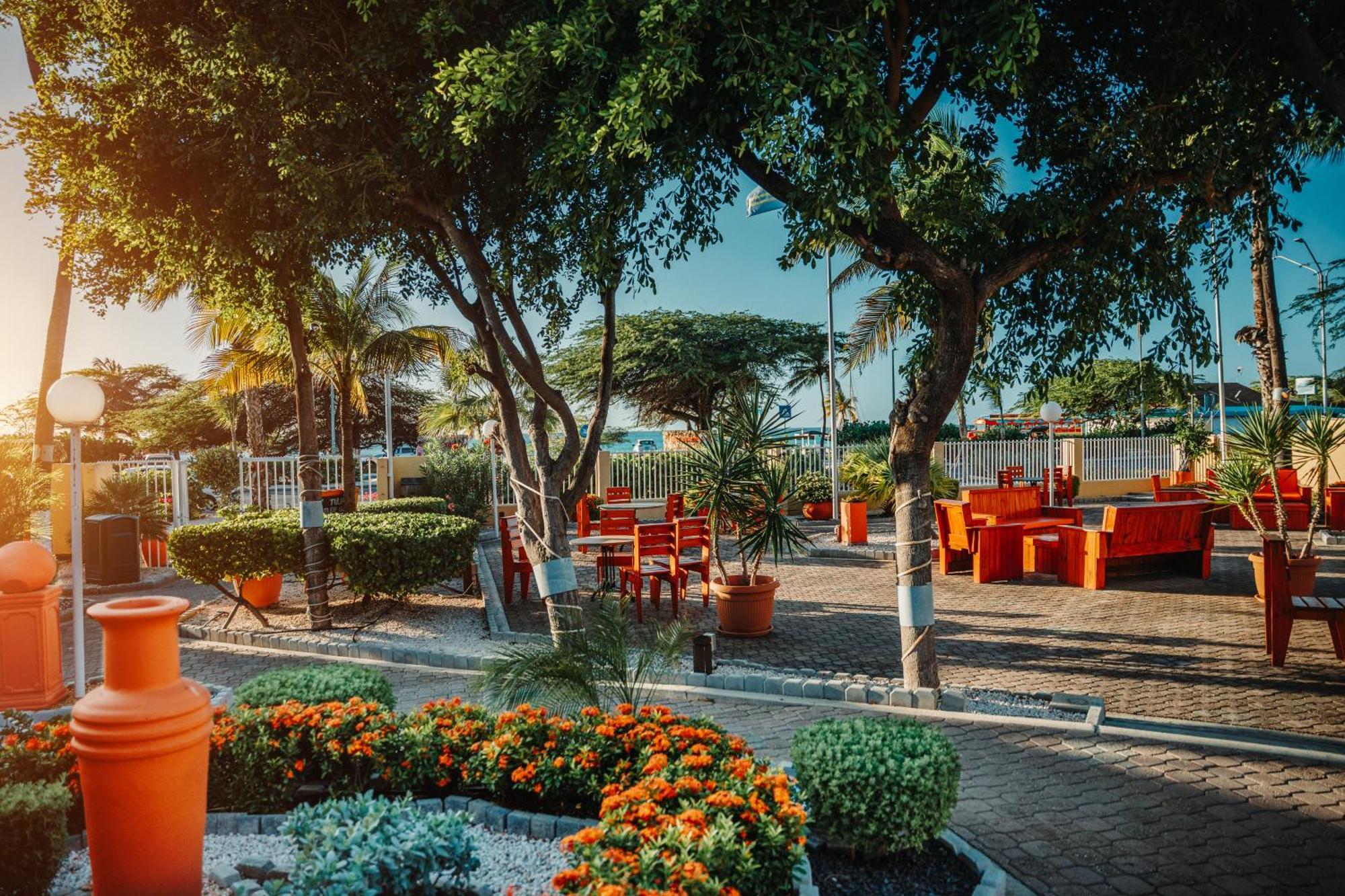 Mvc Eagle Beach Palm Beach Exteriér fotografie