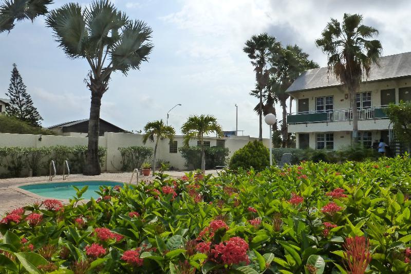 Mvc Eagle Beach Palm Beach Exteriér fotografie