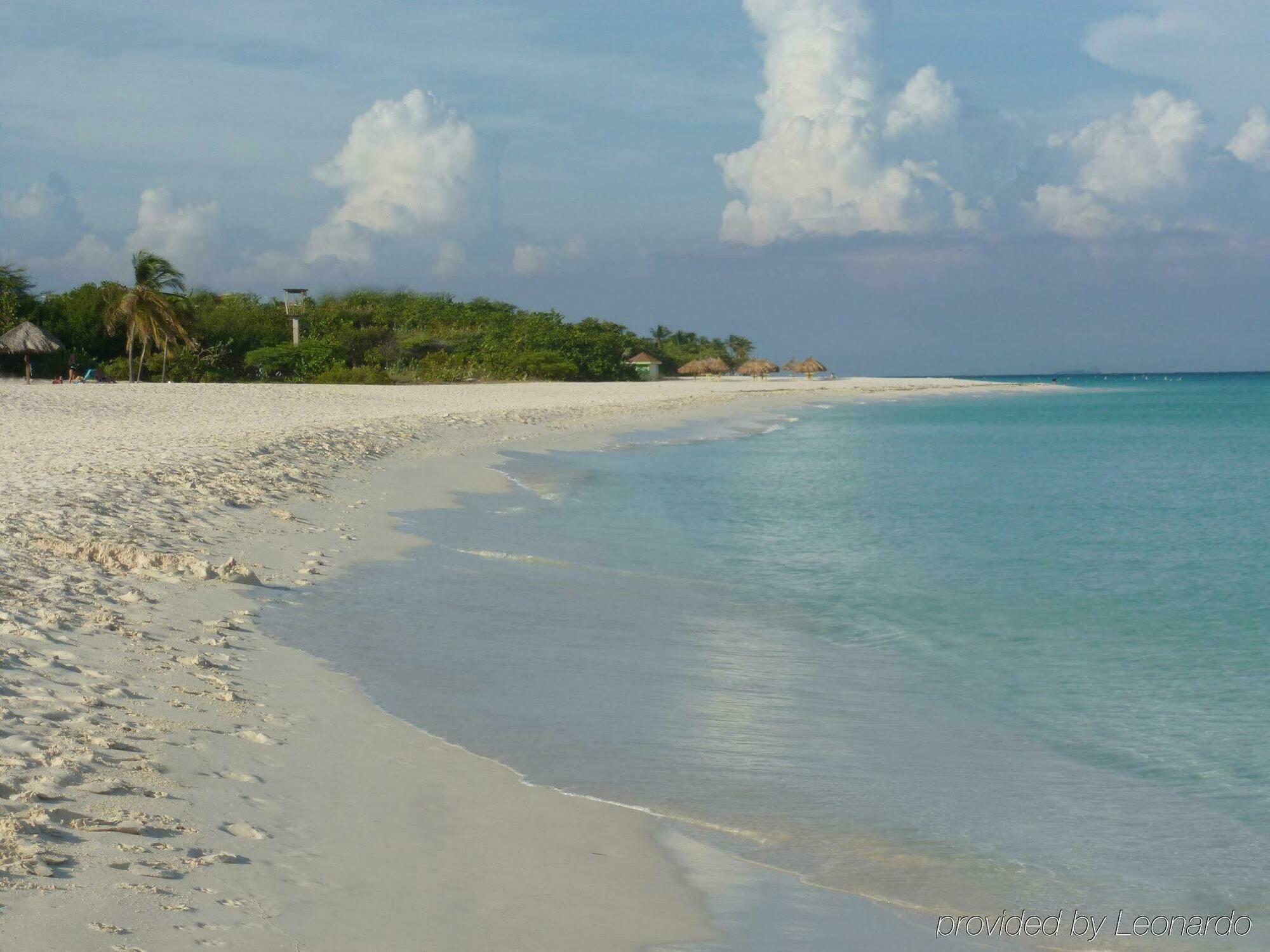 Mvc Eagle Beach Palm Beach Exteriér fotografie